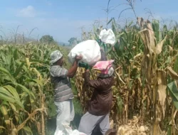 Polres Lobar Tegas Awasi Harga dan Mutu Beras di Pasar Gerung