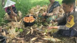 Dari Lahan Pekarangan, Polri Bangun Ketahanan Pangan di Desa