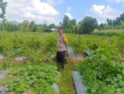 Polri Motivasi Warga Gerung Sulap Lahan Jadi Sumber Pangan