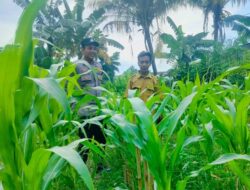 Langkah Polsek Labuapi Wujudkan Ketahanan Pangan Lokal