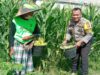 Sinergi Polri dan Petani Perkuat Ketahanan Pangan NTB