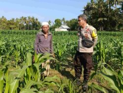 Langkah Polsek Batulayar Perkuat Ketahanan Pangan Desa