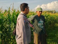 Strategi Polsek Labuapi Perkuat Kedaulatan Pangan Desa